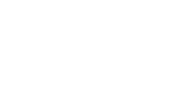DT Fiberglass Logo - white