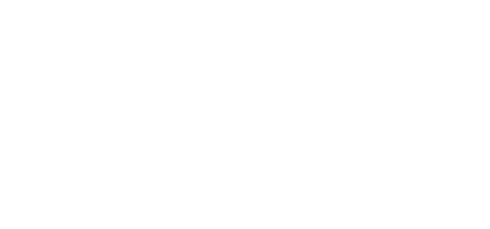 Skyline logo white